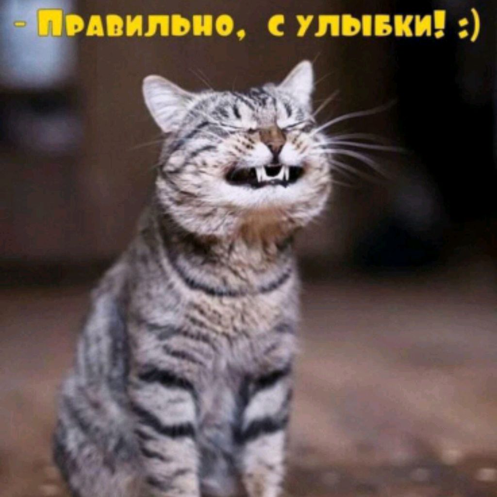 Начальник Космоса.