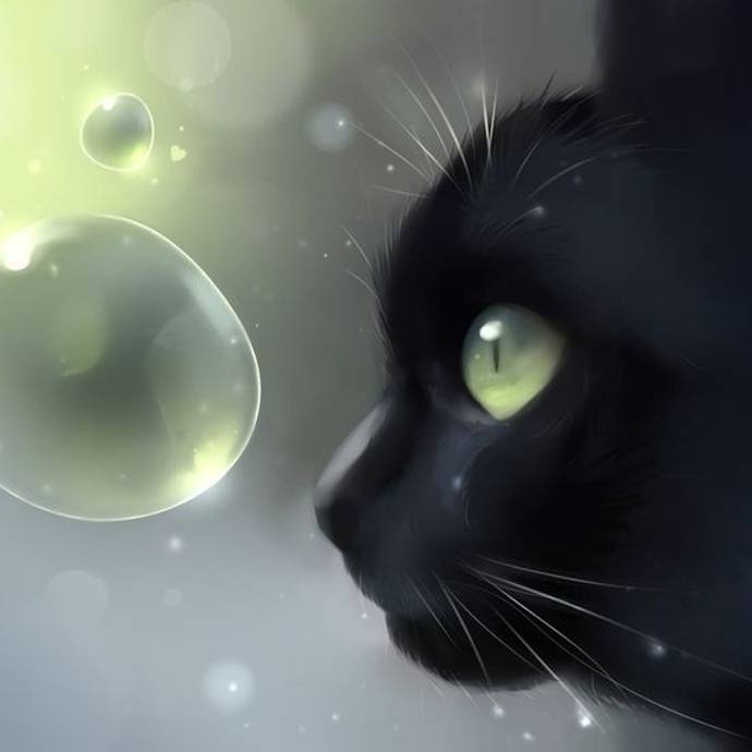 кошак