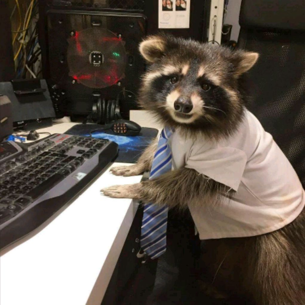 videoenota