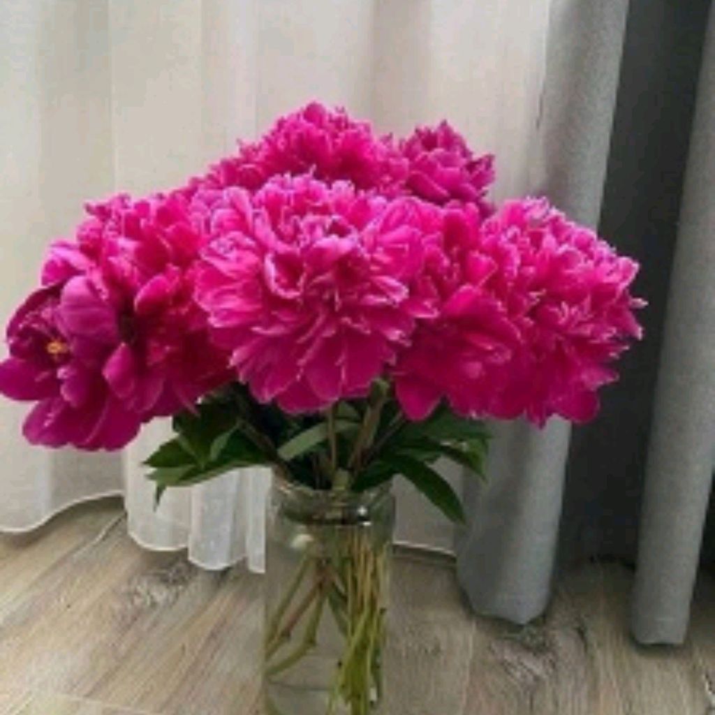 Виктория❤