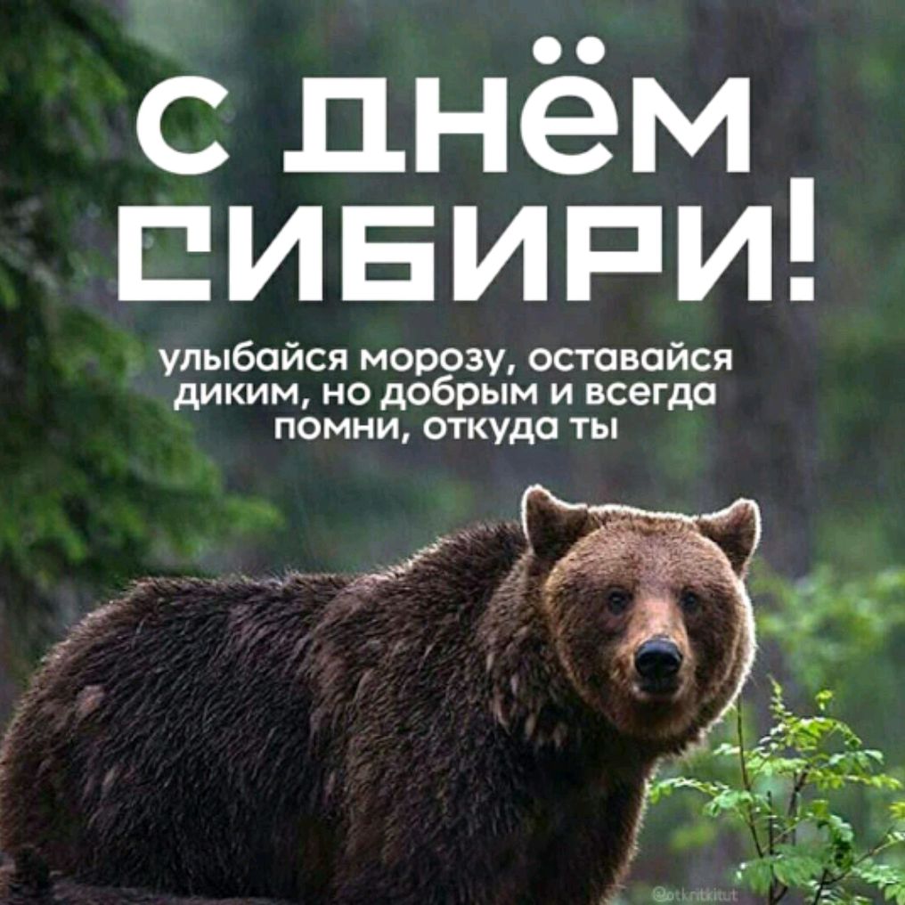 АльтроЭГО