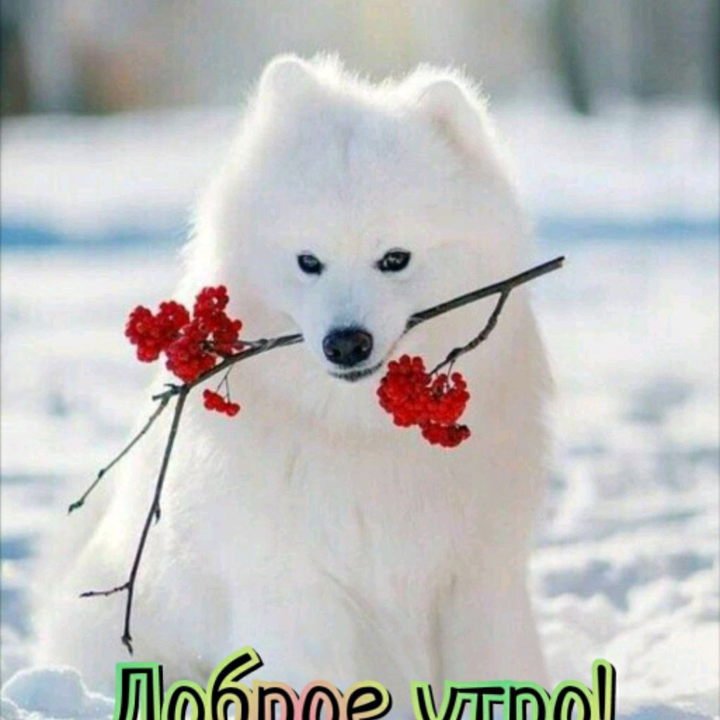 Родные берега💫