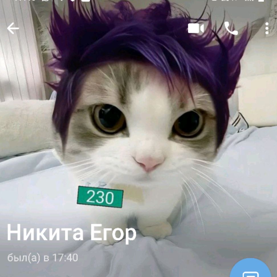 channel53789335
