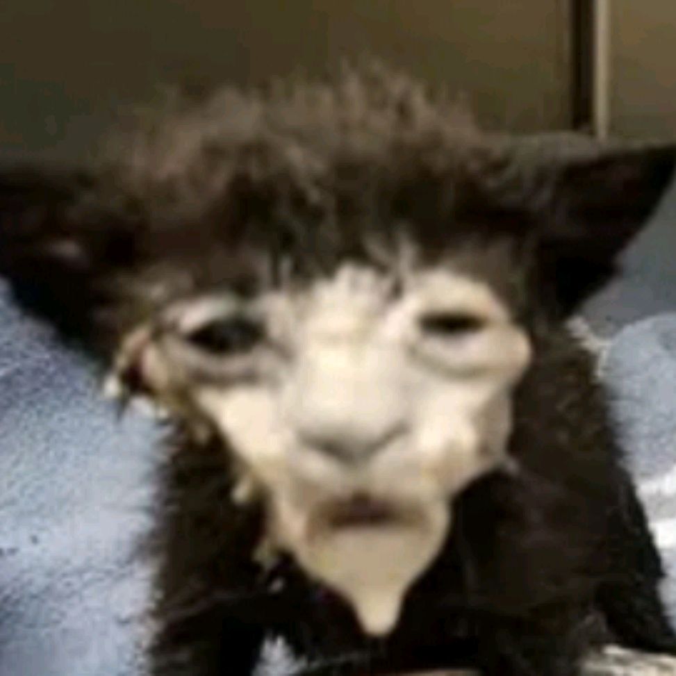 Lenyxis
