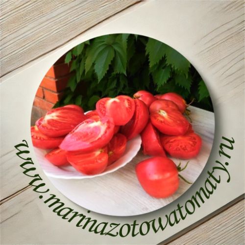 Марина Зотова Томаты