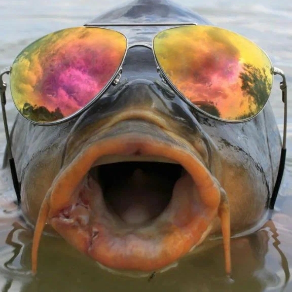 Дикая Рыбалка и другое 🐠🐋🐟