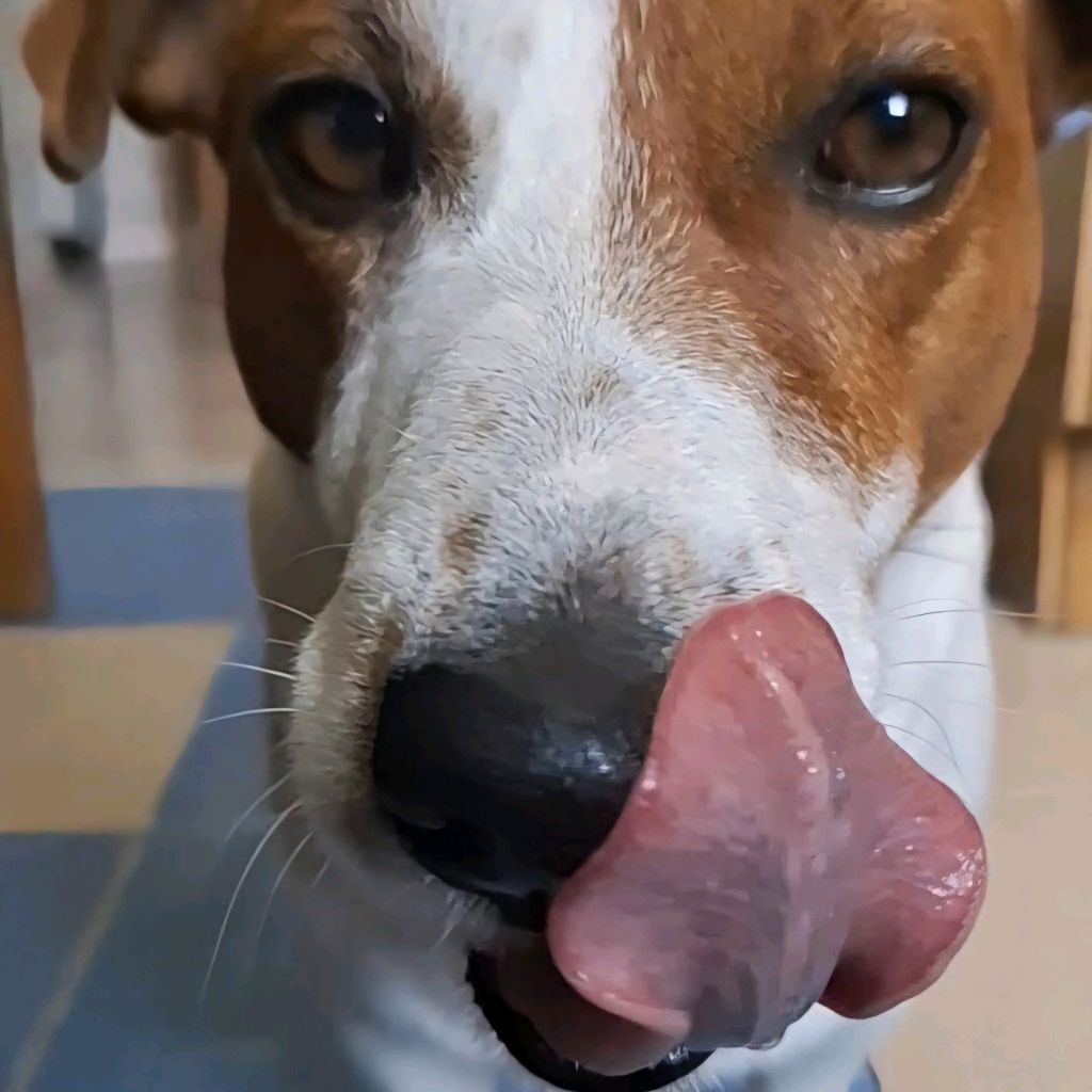 A.P.