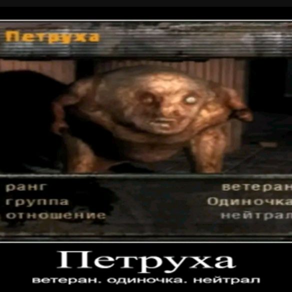 channel32664300