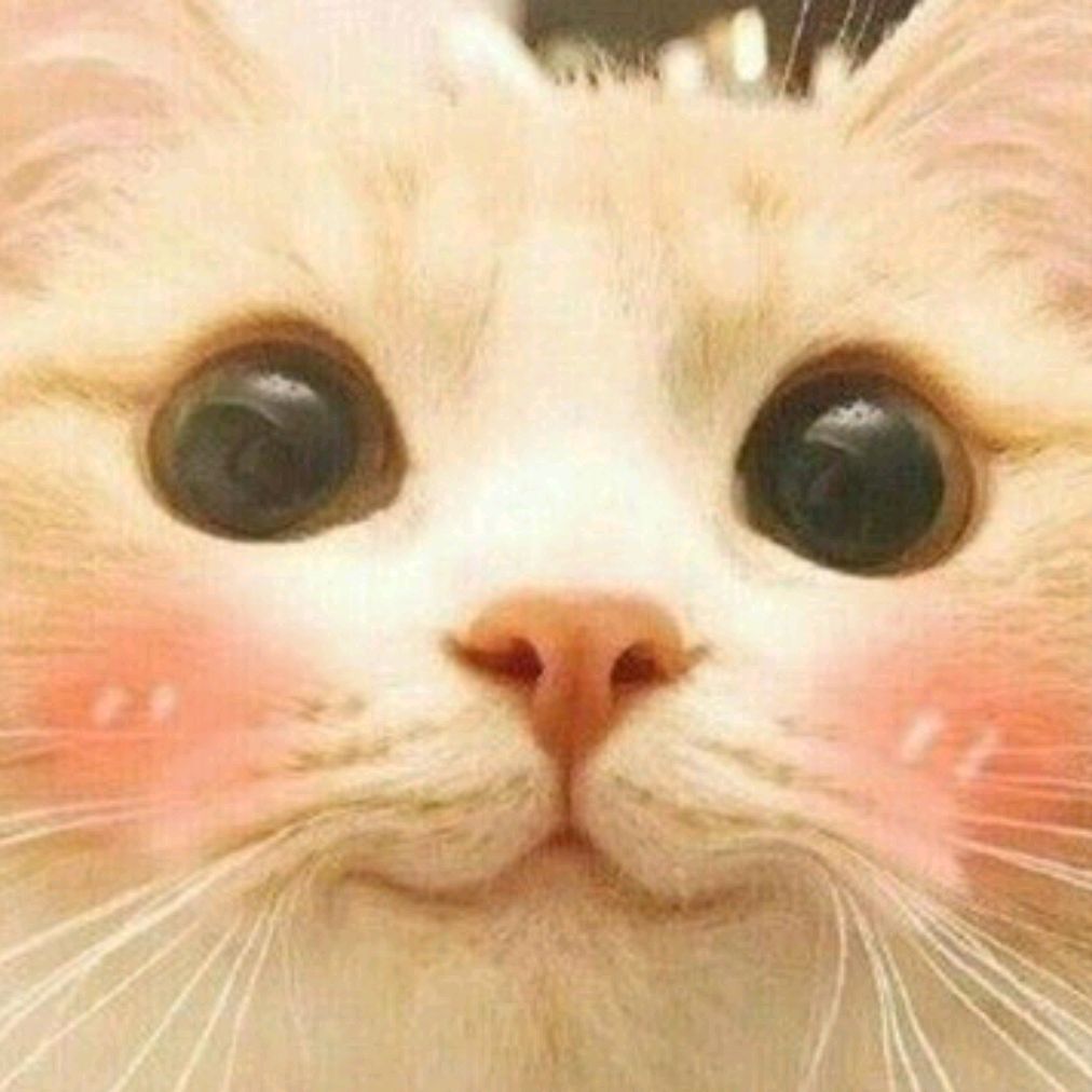 ♡Cute♡Котик ✔