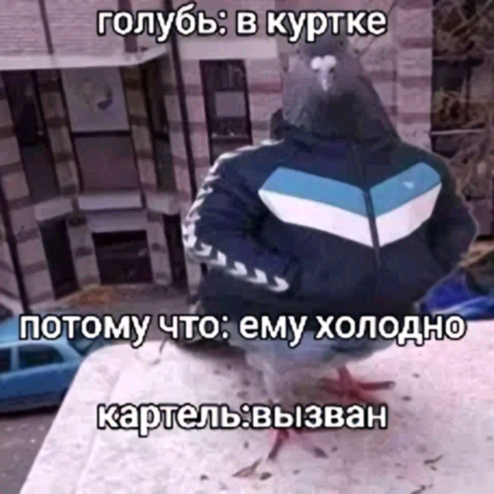 42 Братуха