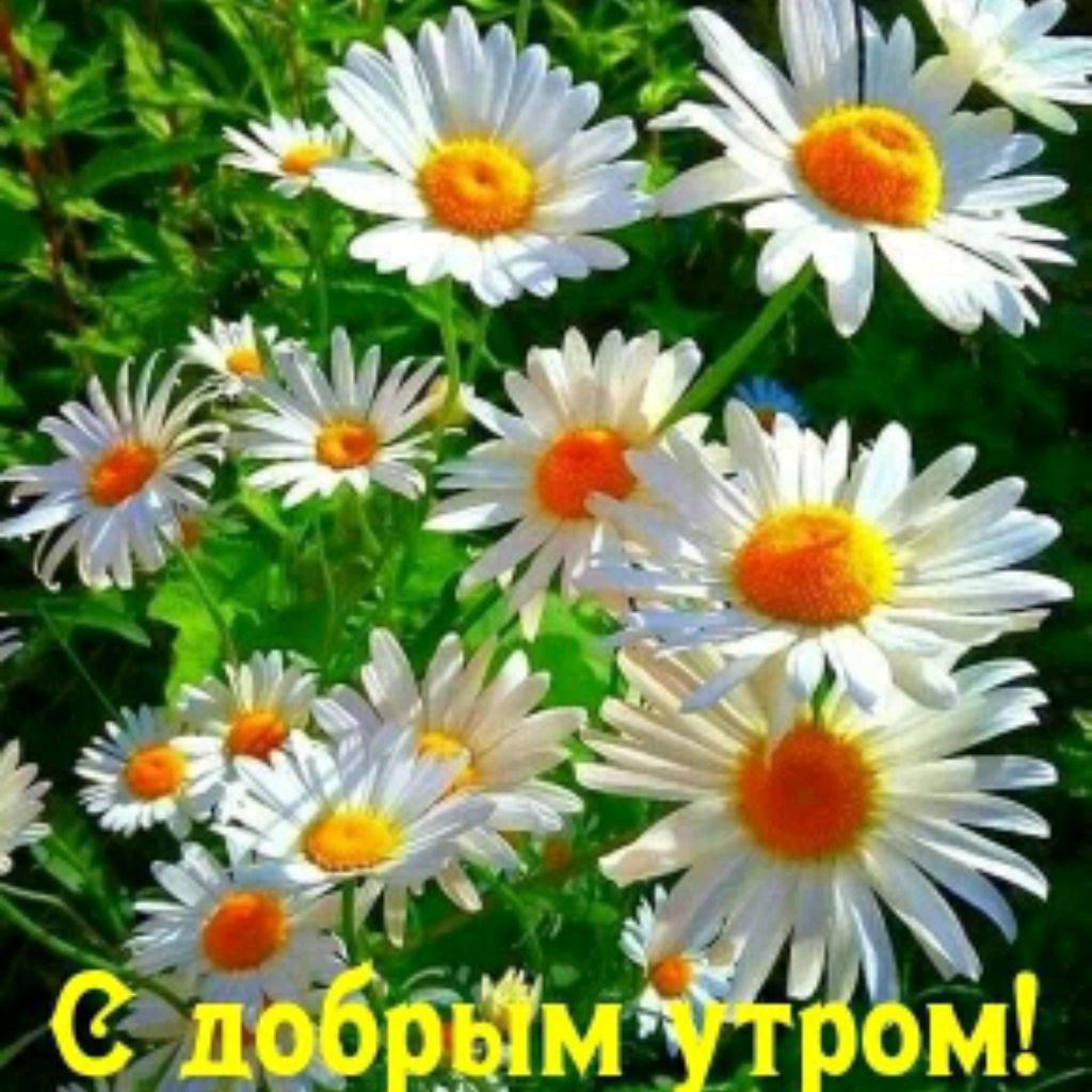Мила.К.
