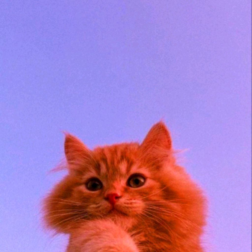 ♡Милка SVETA♡★