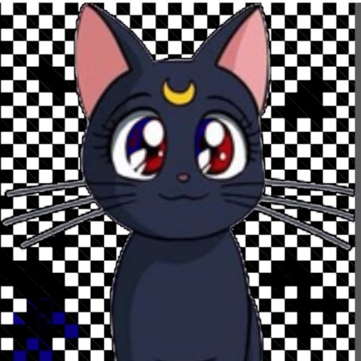‧͙⁺˚*･༓кошка_луна°^°☽༓･*˚⁺⭐🌌🖤😺
