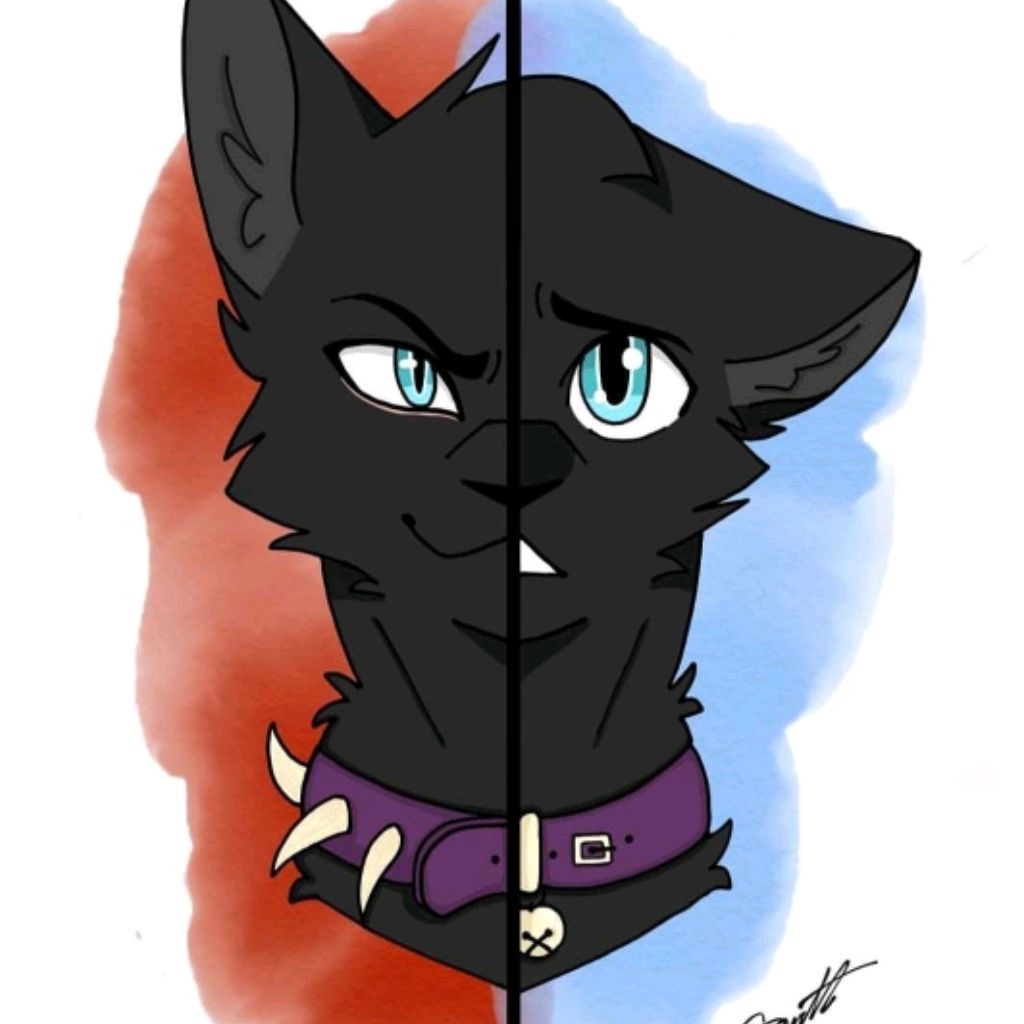 Коты воители тоооп