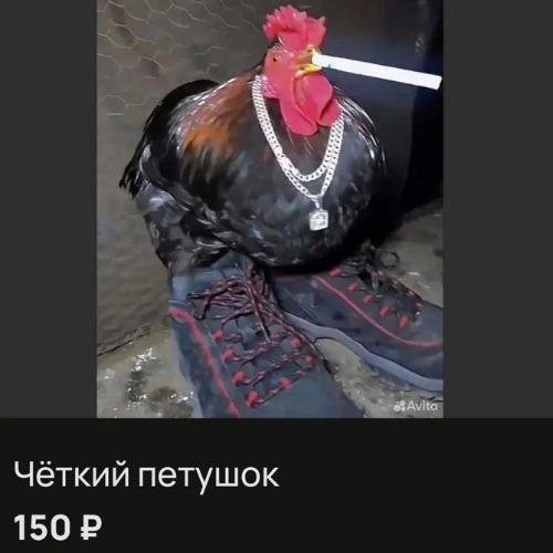 IbigVpiAgerN