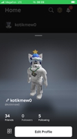 Snow cat Roblox
