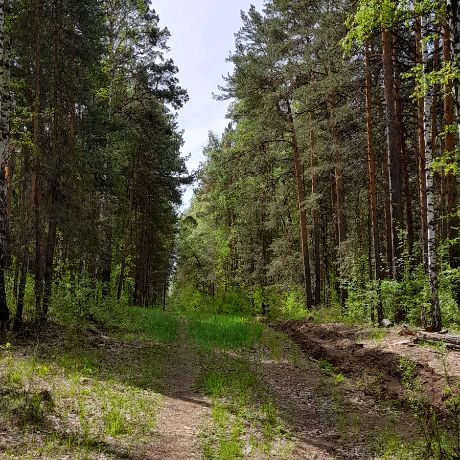 Андрюха_Ч.М.З_74рус