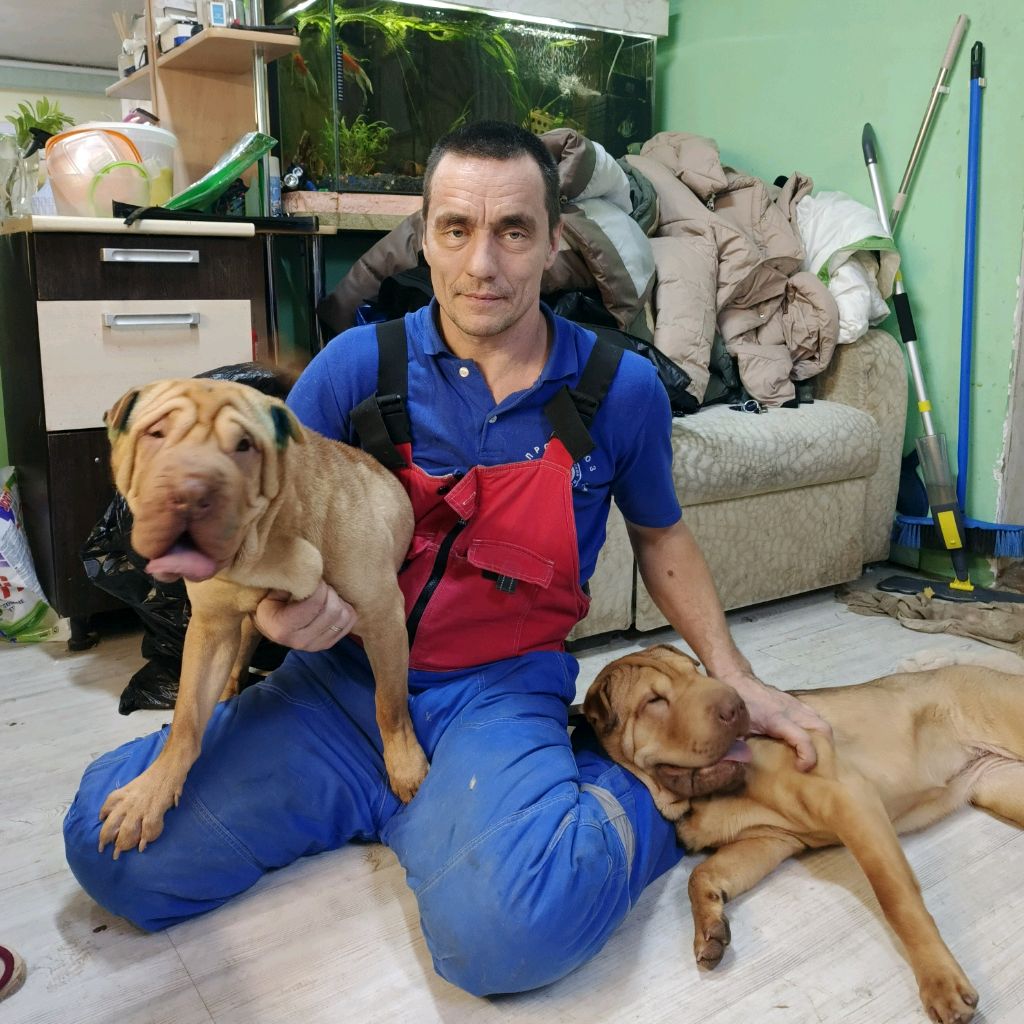 Влад 34 Газжирновск