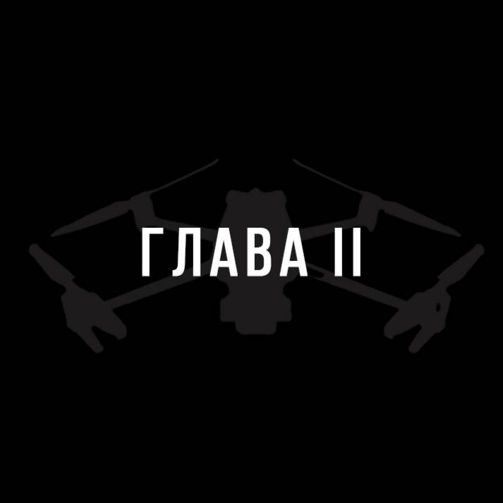 Глава II