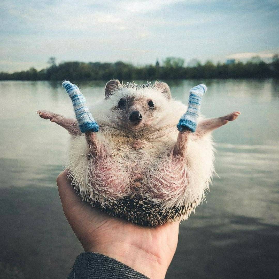 Юмор в кадре