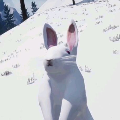 Fan_Flaski