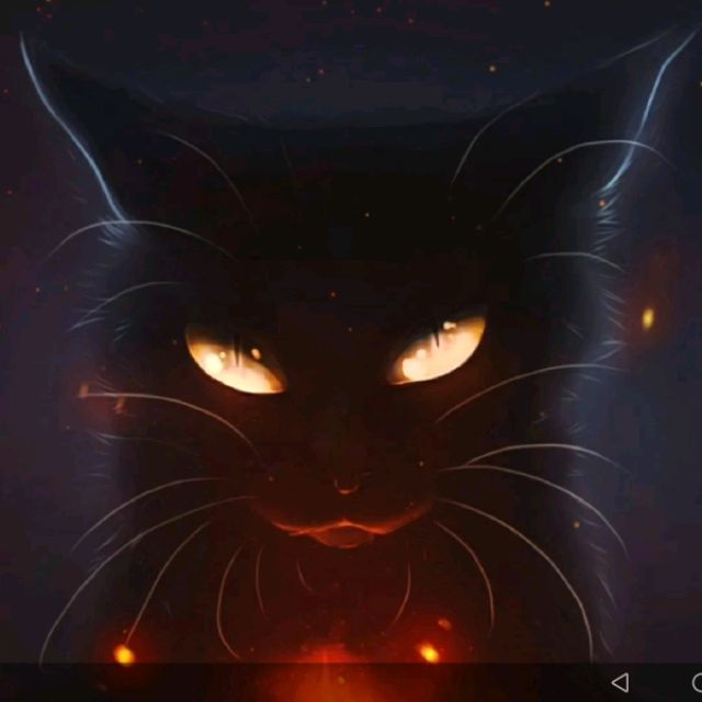 #начни с кота#