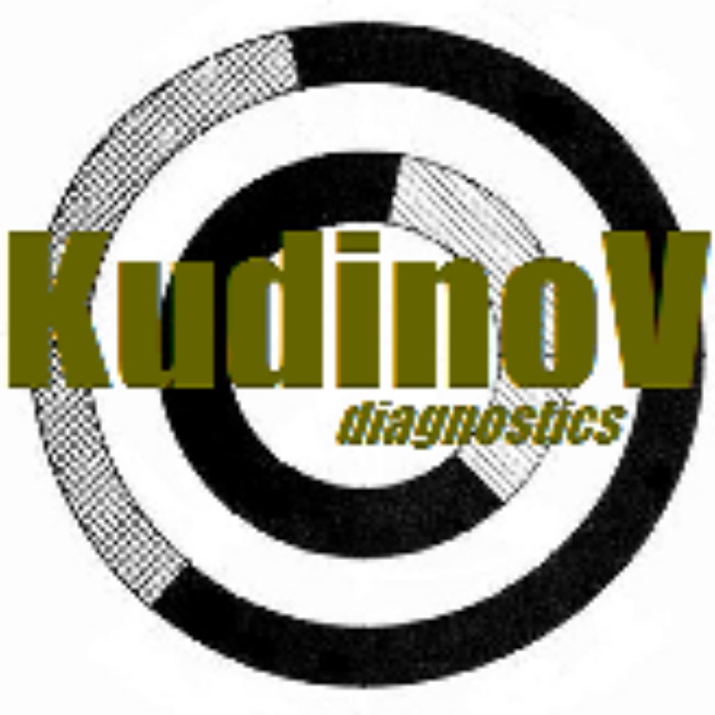Kudinov Diagnostics