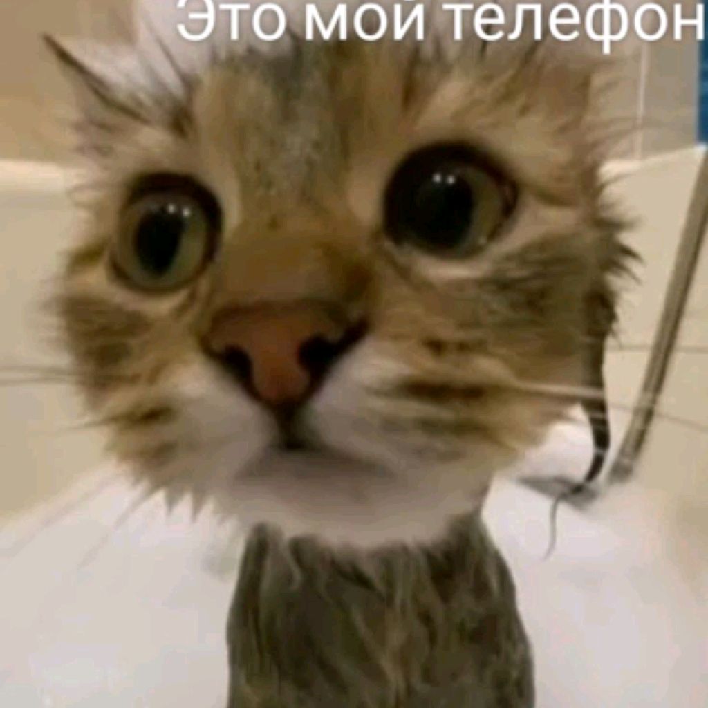 Егорик3008квадробик
