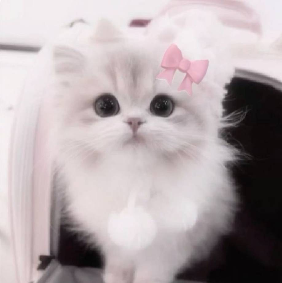 goochi222