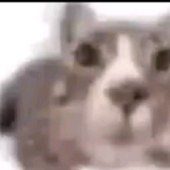 Dumok
