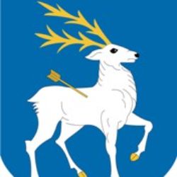 channel55891603 Александр