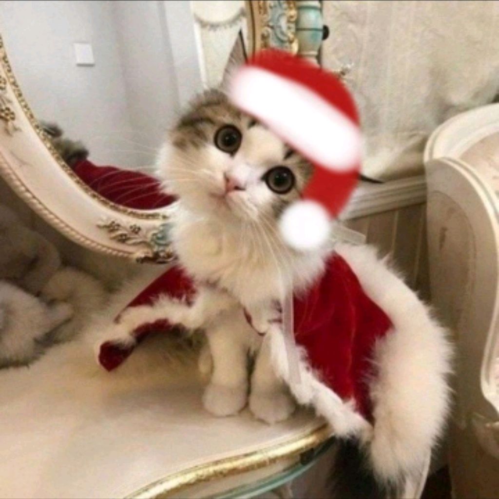 Ева