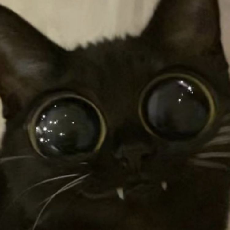Котик 😻