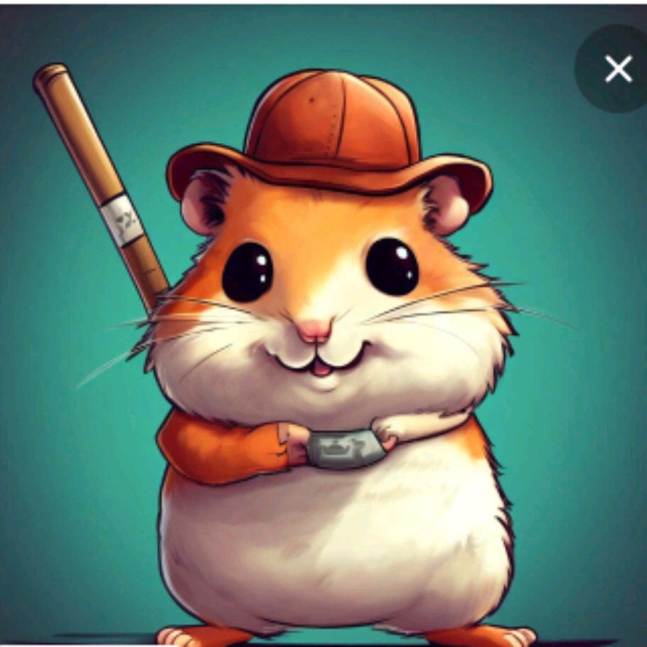 Hamster Bandit :)