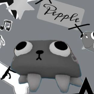 Pebble^-^