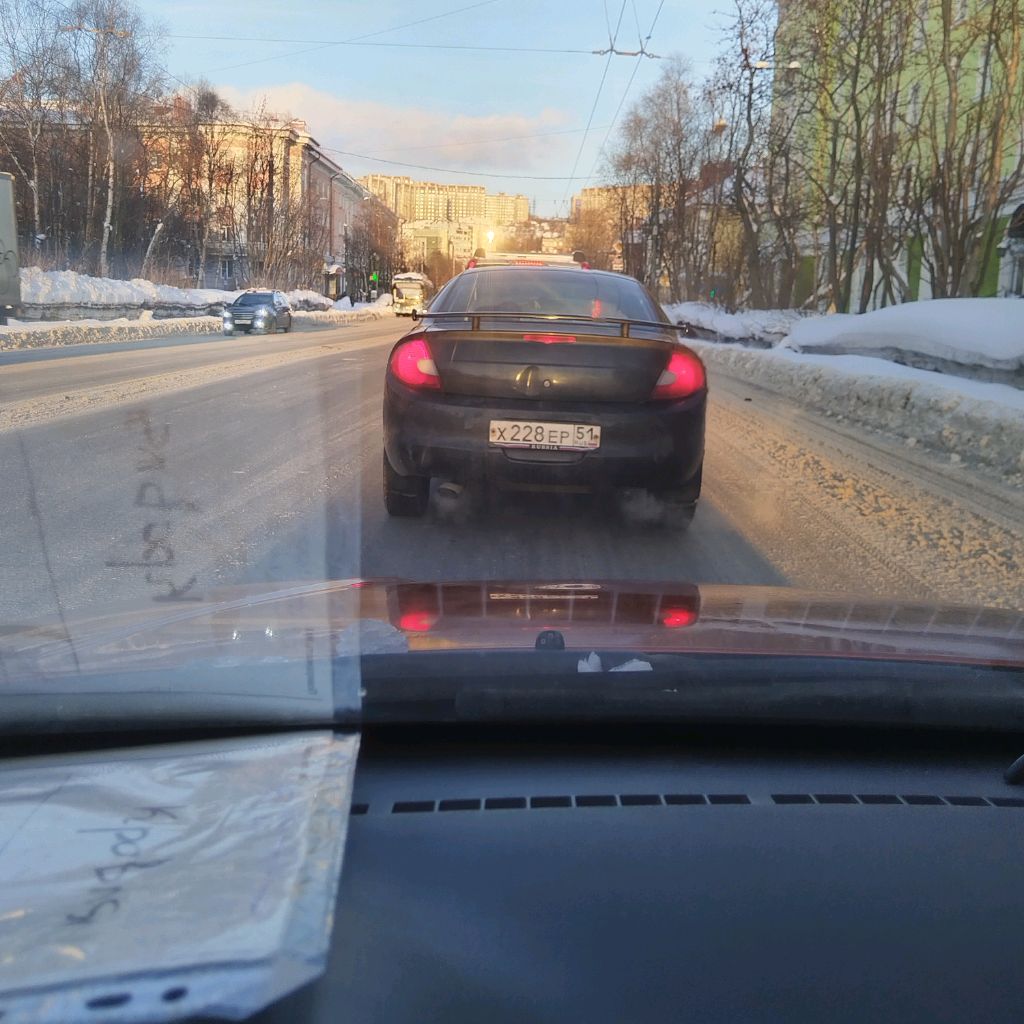 Пётр Виссарионович Путин