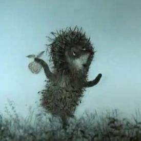 Hedgehog in the fog