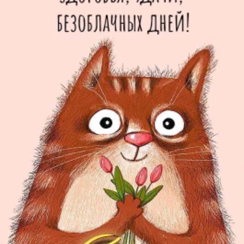 Котик Плей