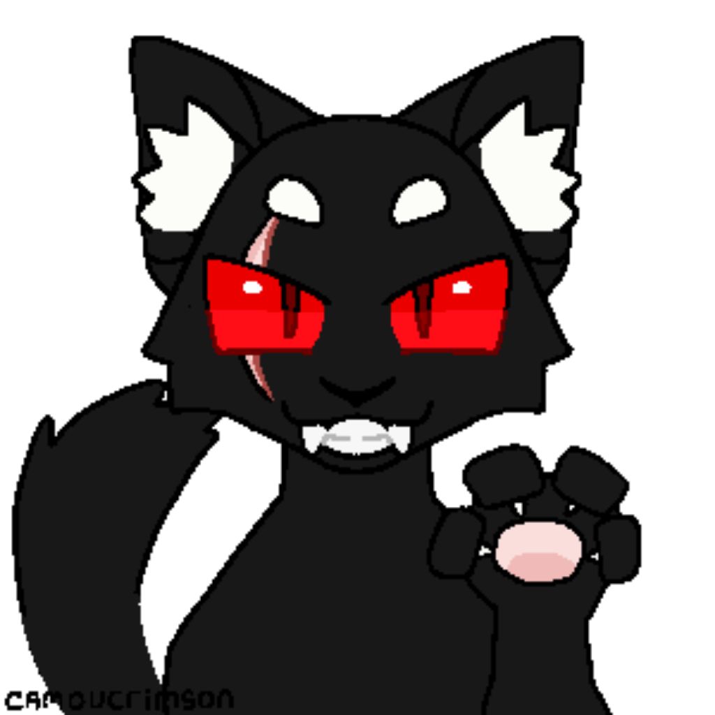 🐾🖤Black Paws🐾🖤