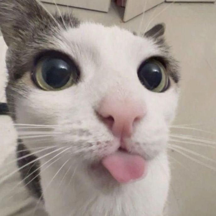 Hika Hika