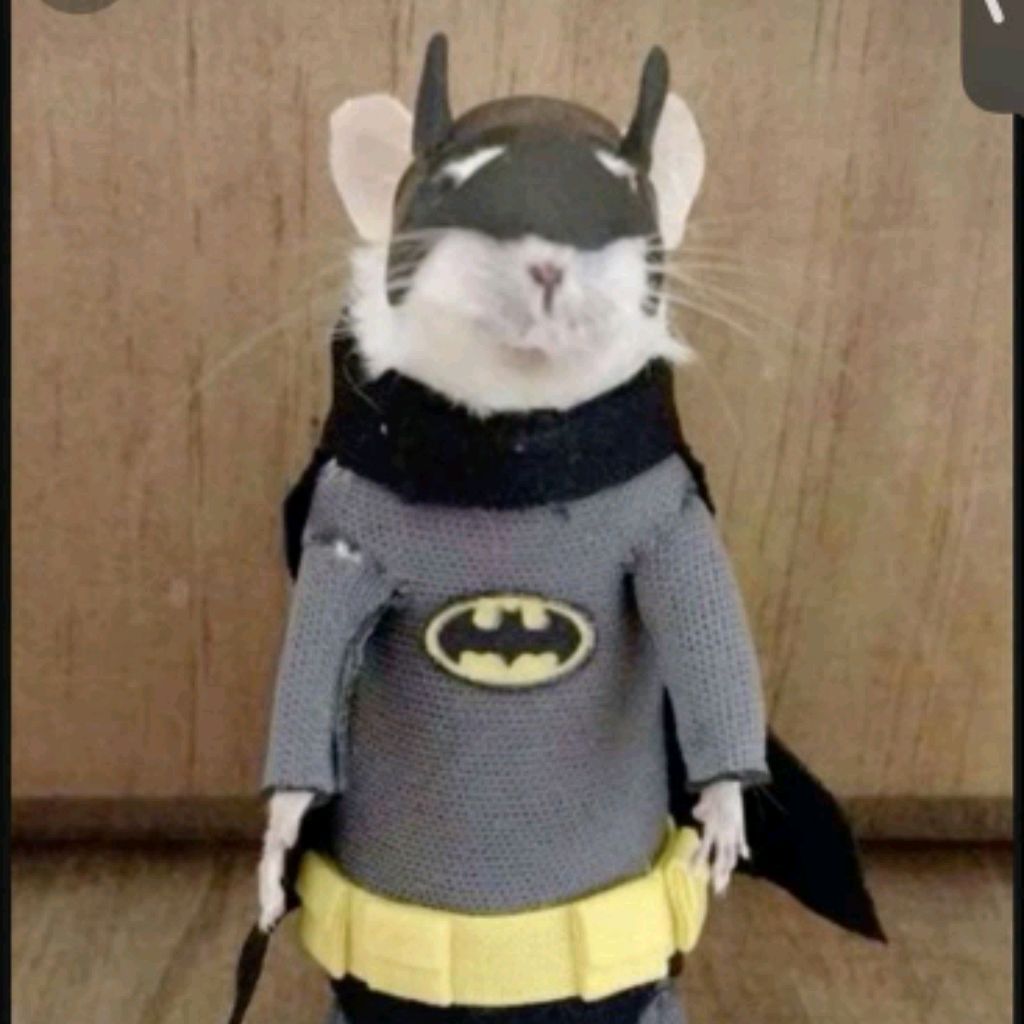 Rata_Bata