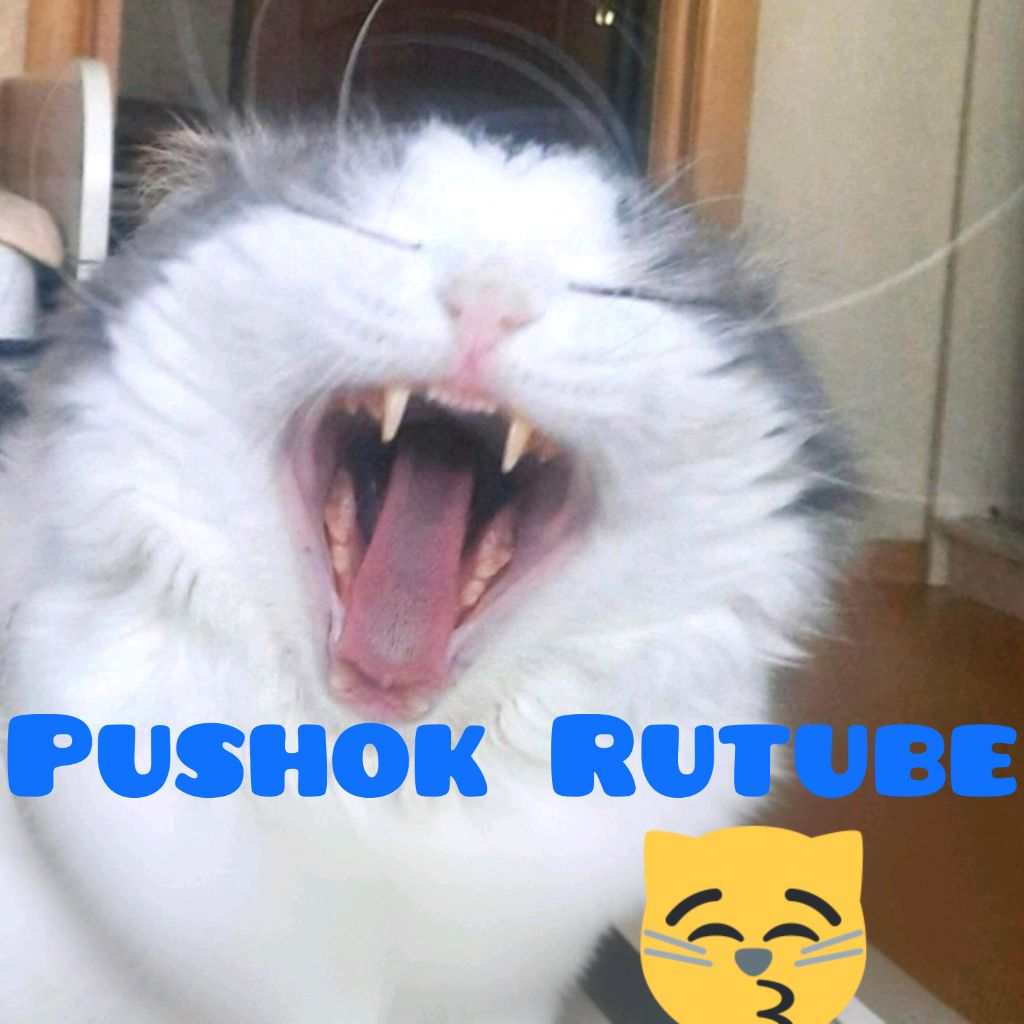 Пушок Rutube 😽