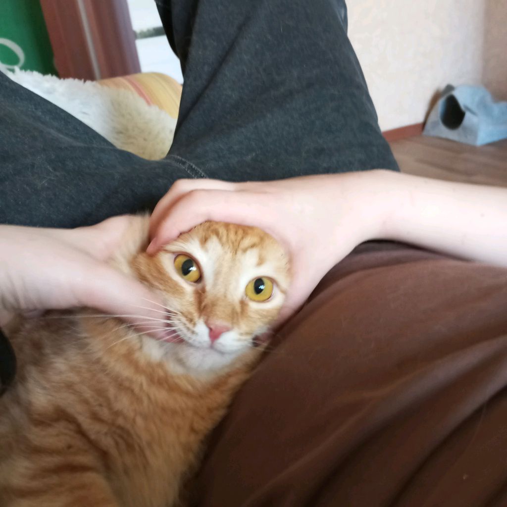 Денкин