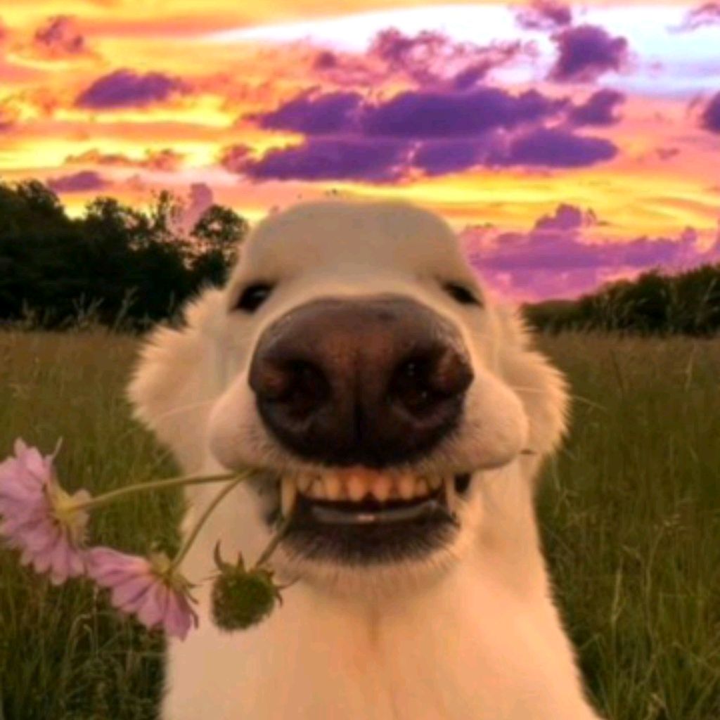 М?🐾