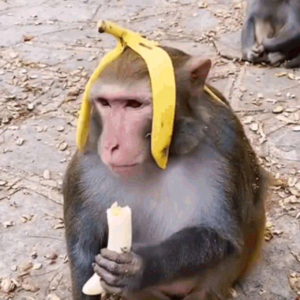 Krablli