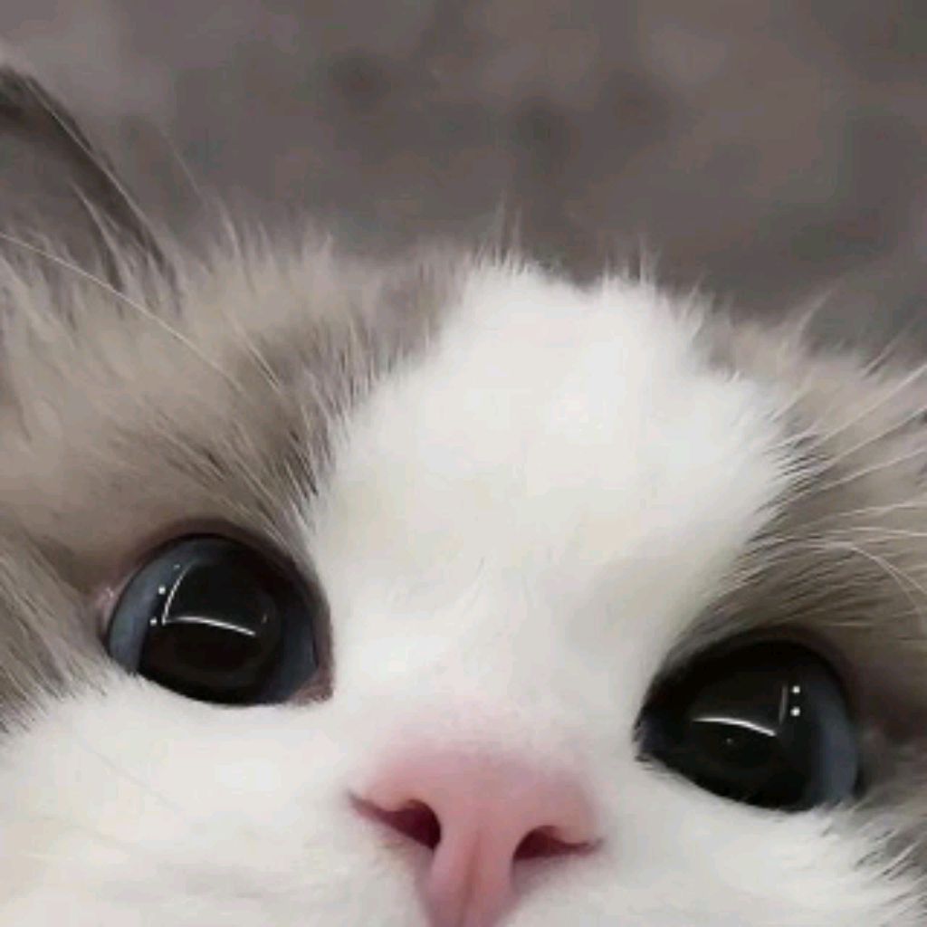 Sofiko💖