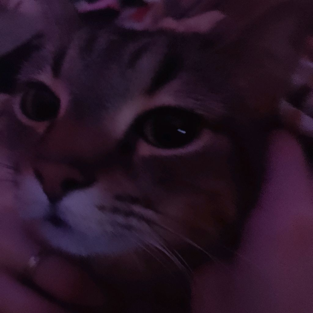 Жендос:/