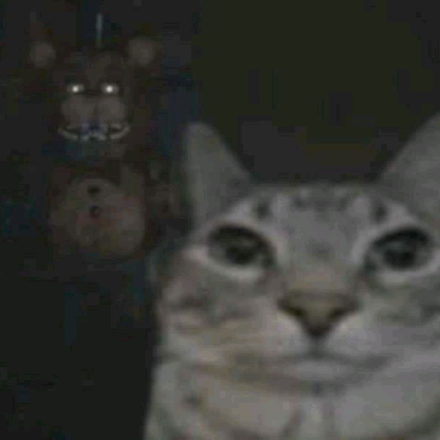 Любитель