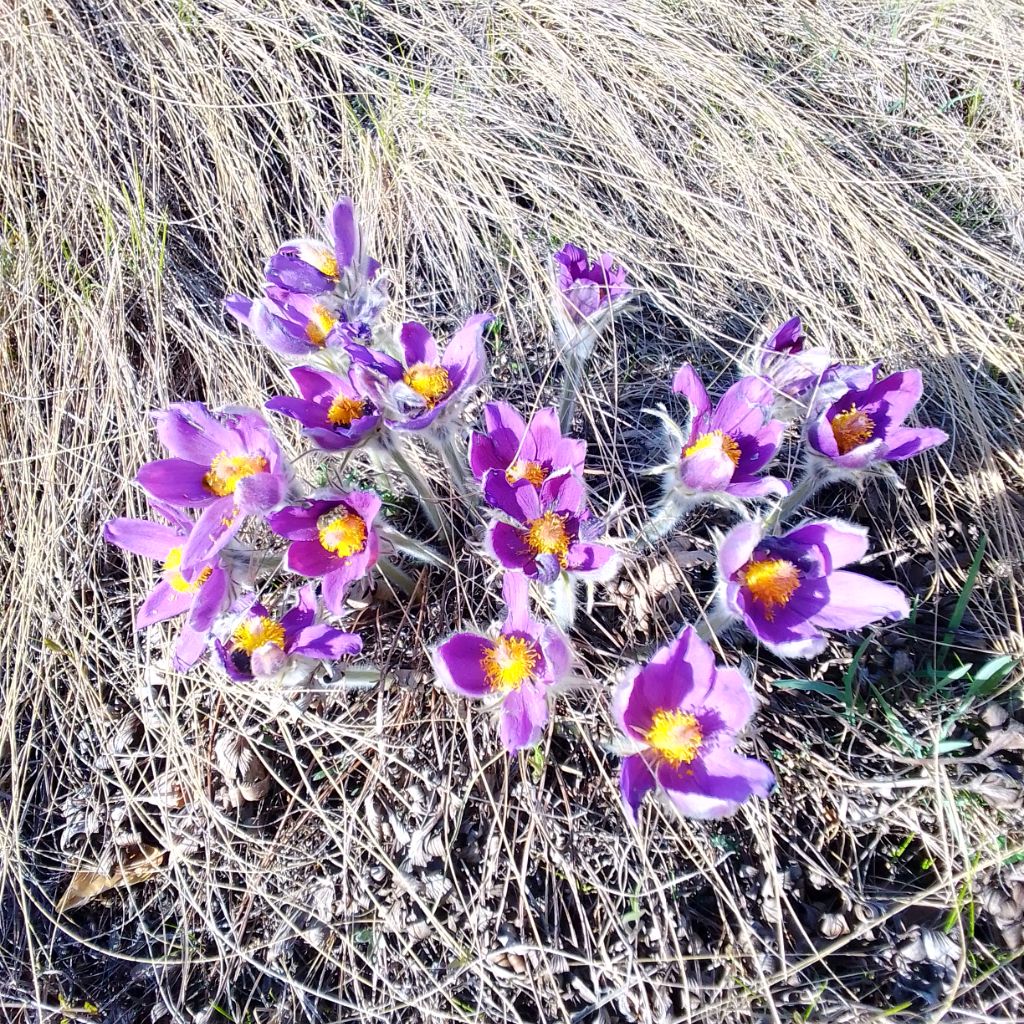 Котикова Светлана