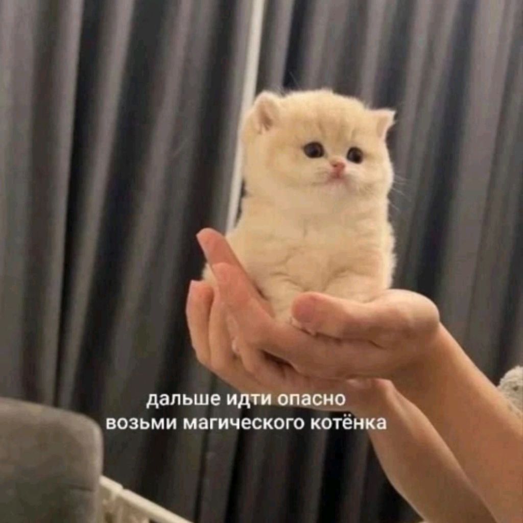 О,Миронова